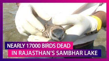 IVRI confirmed that Avian Botulism-Reason behind birds’ death in Sambhar Lake in Rajasthan भारतीय पशु चिकित्सा अनुसंधान संस्थान (IVRI) ने पुष्टि की कि राजस्थान में सांभर झील में पक्षियों की मौत के पीछे एवियन बोटुलिज़्म-कारण